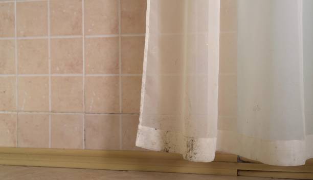 Best Air Quality Testing for Mold Spores  in Traverse City, MI
