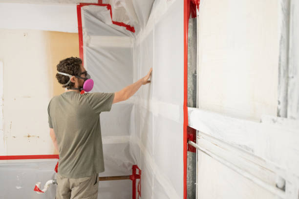 Best Commercial Mold Inspection  in Traverse City, MI