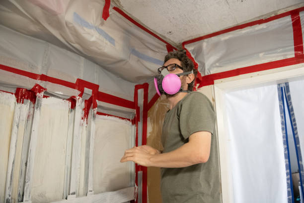 Best Biohazard Mold Removal  in Traverse City, MI