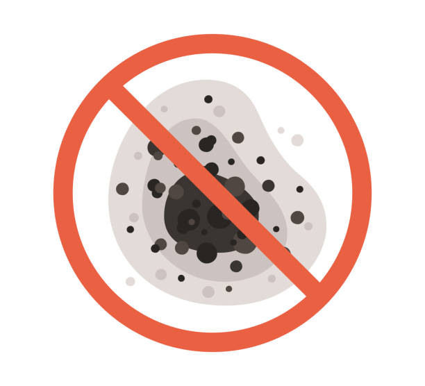  Traverse City, MI Mold Removal Pros