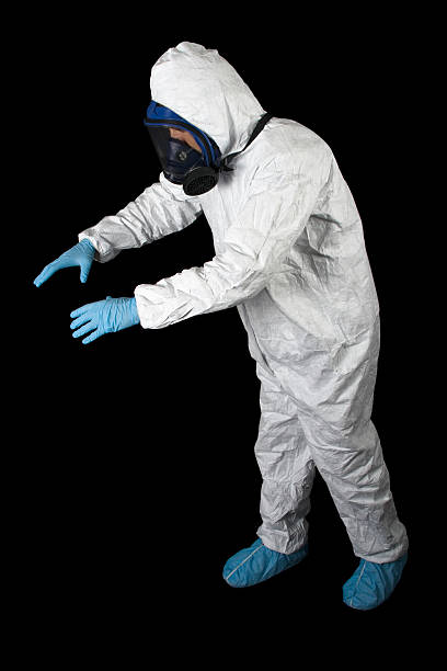 Best Black Mold Removal  in Traverse City, MI